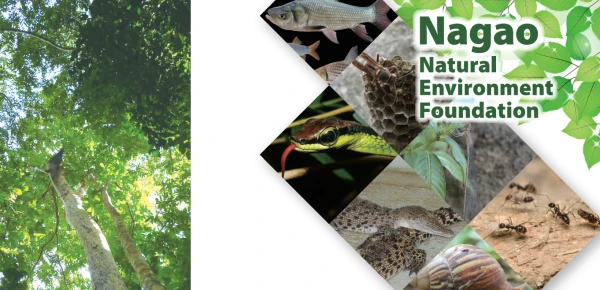 Deadline: Tuesday,15 April 2025, NEF Research Grant Programme